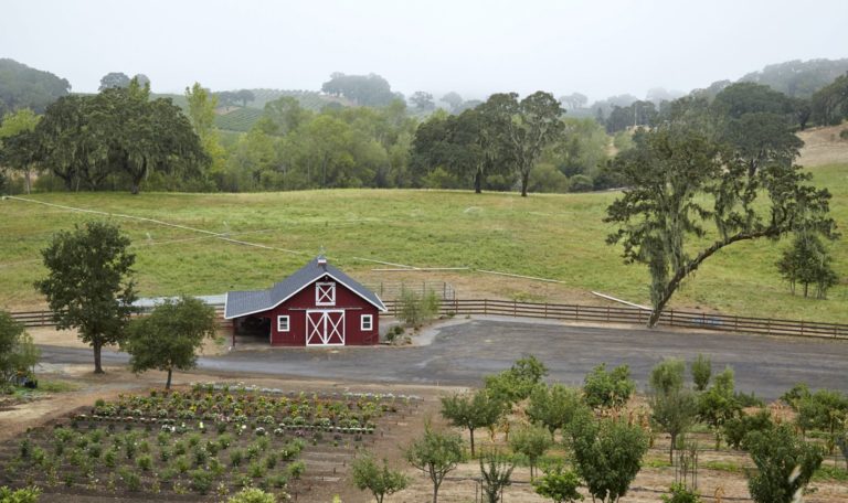 Aerial view of garden at Jordan Winery