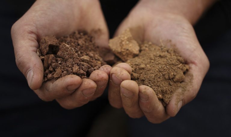 close up of hands holding dirt