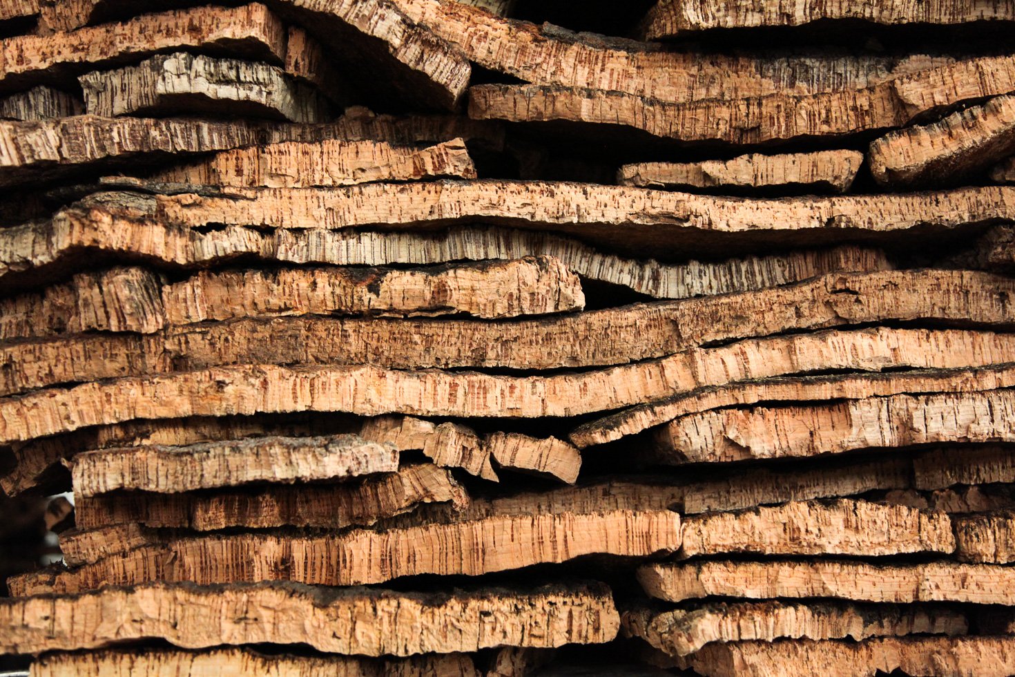 cork tree bark seasoning, Portugal