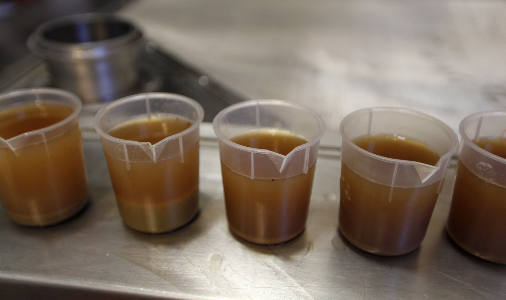 Jordan Chardonnay Press Cuts in sample cups