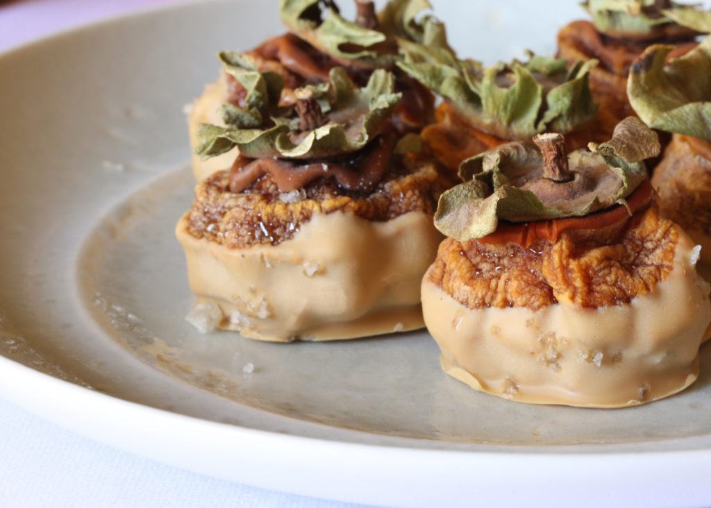 Dried Fuyu Persimmons Dipped in Blond Chocolate