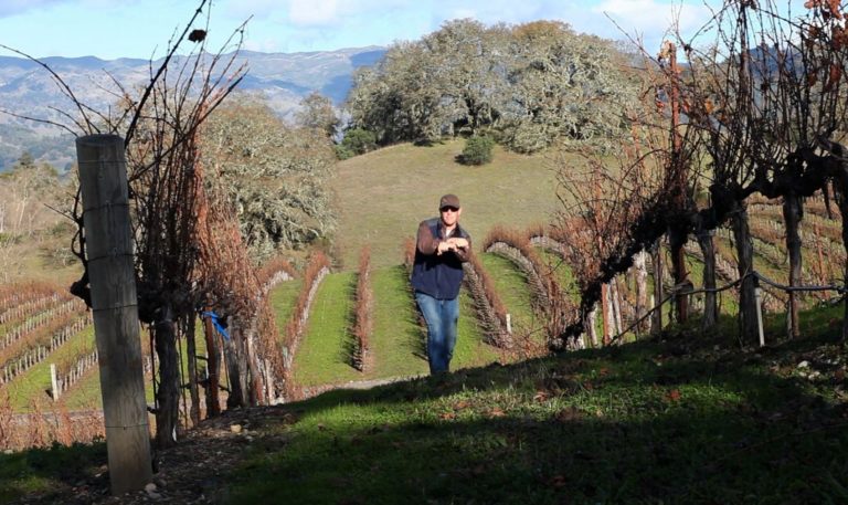 still of Brent Young, Director of Agriculture at Jordan Winery performing the Gangham Style dance in a vineyard on the Jordan Winery Estate