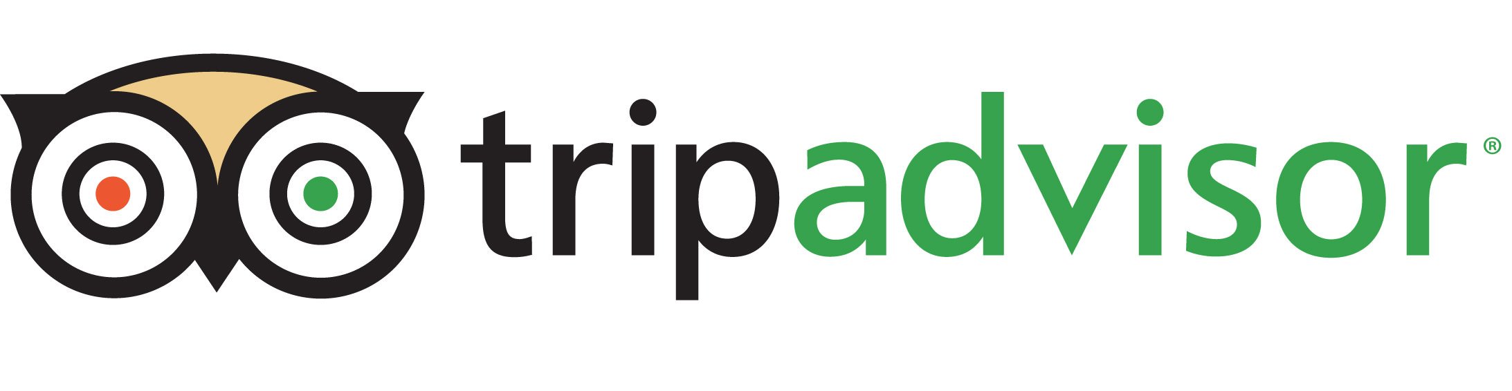 TripAdvisor names Jordan of 10 Tours in America