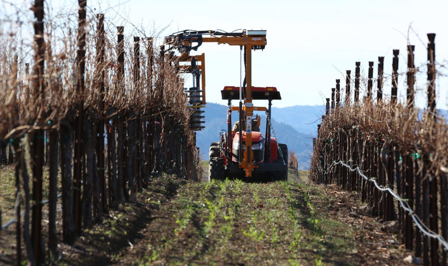 Grapevine Pruning Techniques DoublePruning with PrePruner Machine