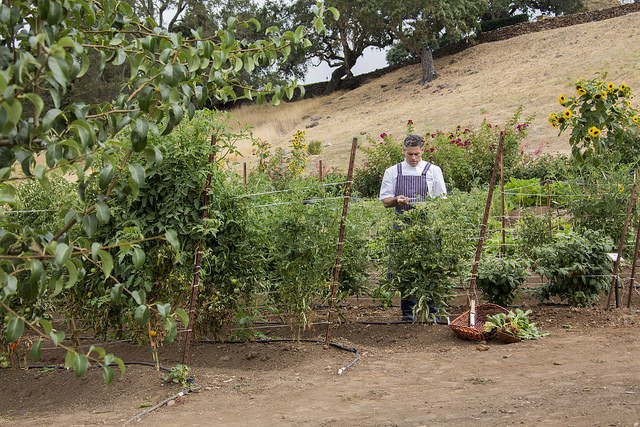 Jordan Winery chef garden