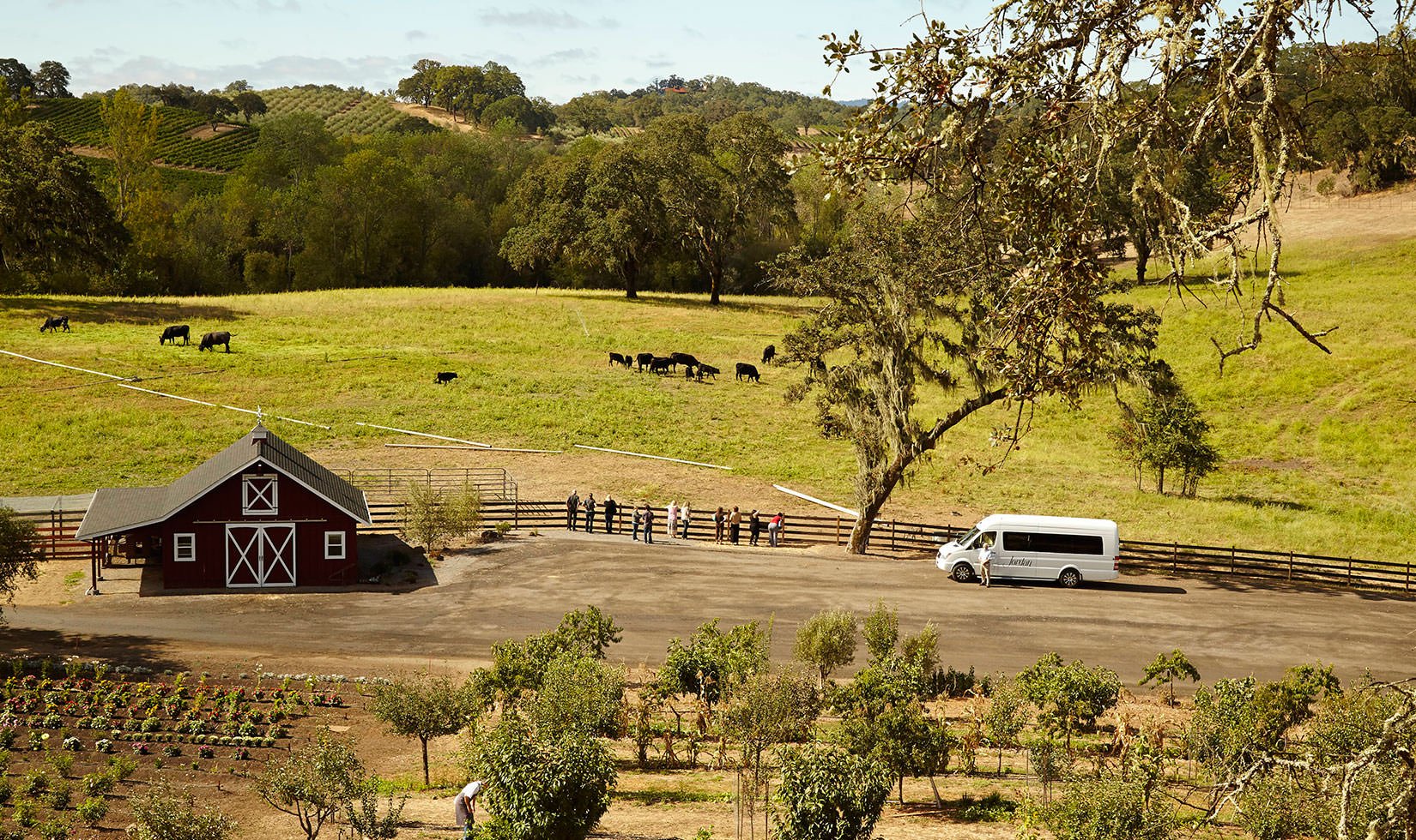 long distance shot of guests visiting the garden at Jordan Winery garden during at Jordan Estate Tour