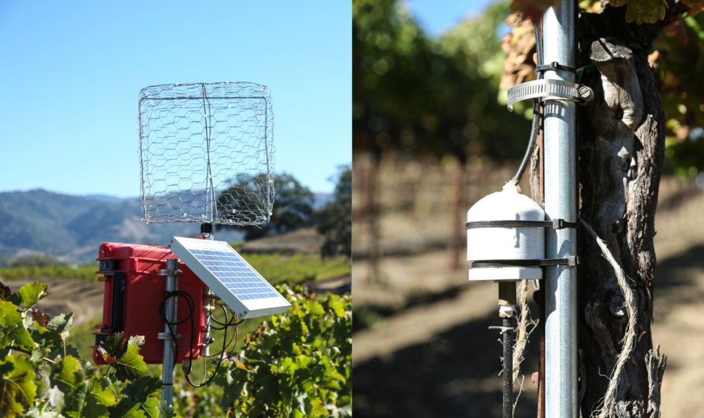 two images of Evapotranspiration transmitters, used to track specific vineyards' water consumption, in the vineyard