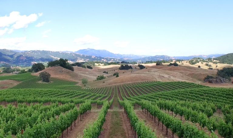 Jordan Winery Alexander Valley View From Vista Point Mt St Helena