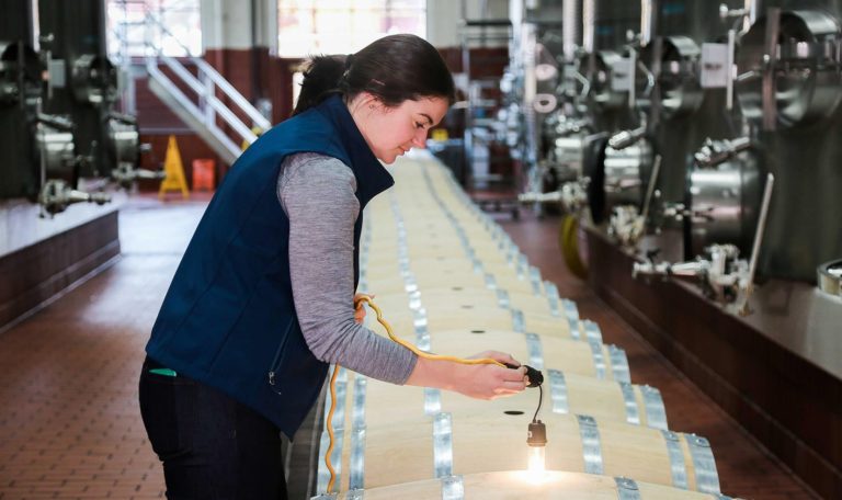 Jordan Winery winemaker Maggie Kruse placing a lamp inside a new oak barrel to inspect It