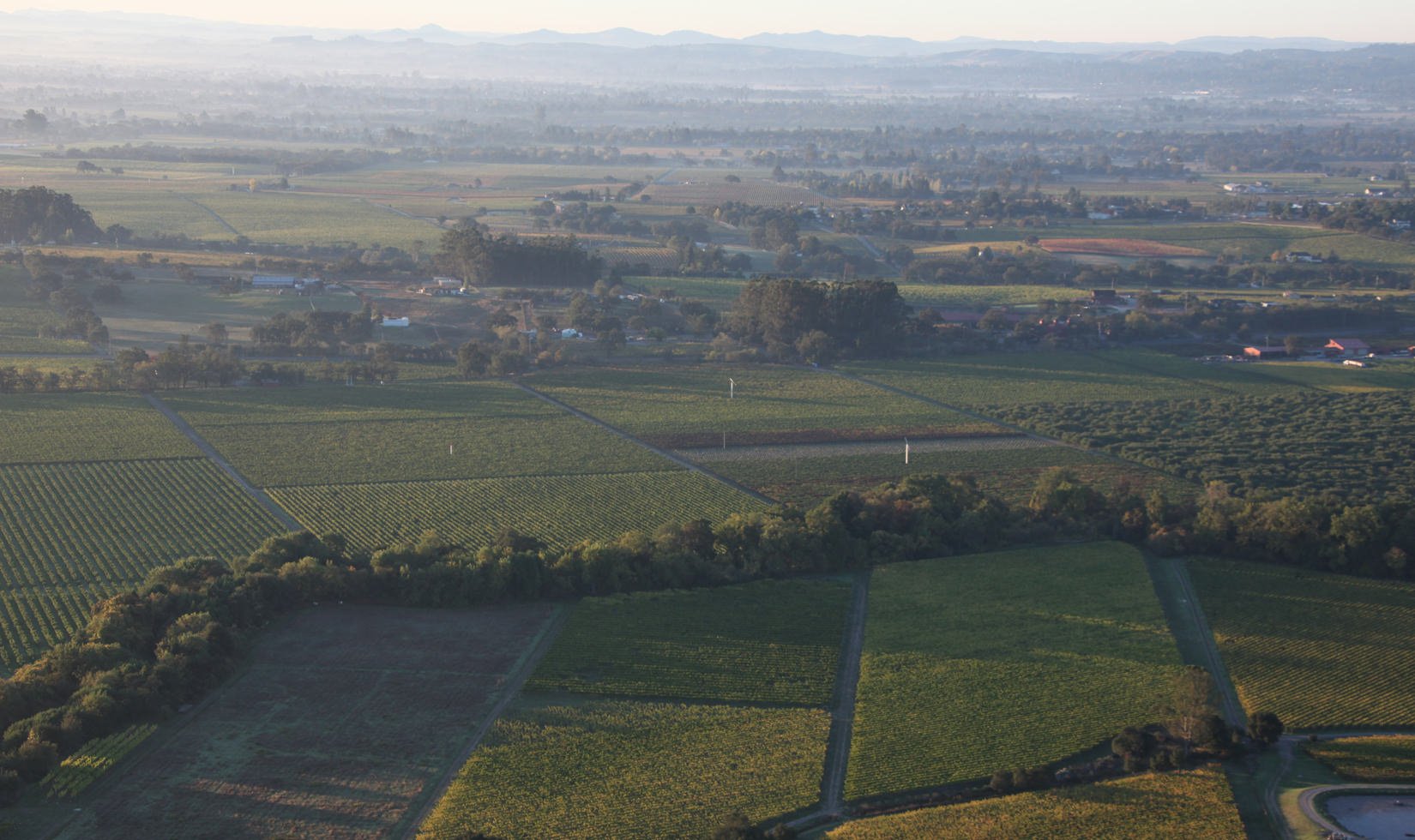 Russian River Valley sunrise aerial BLOG 9927