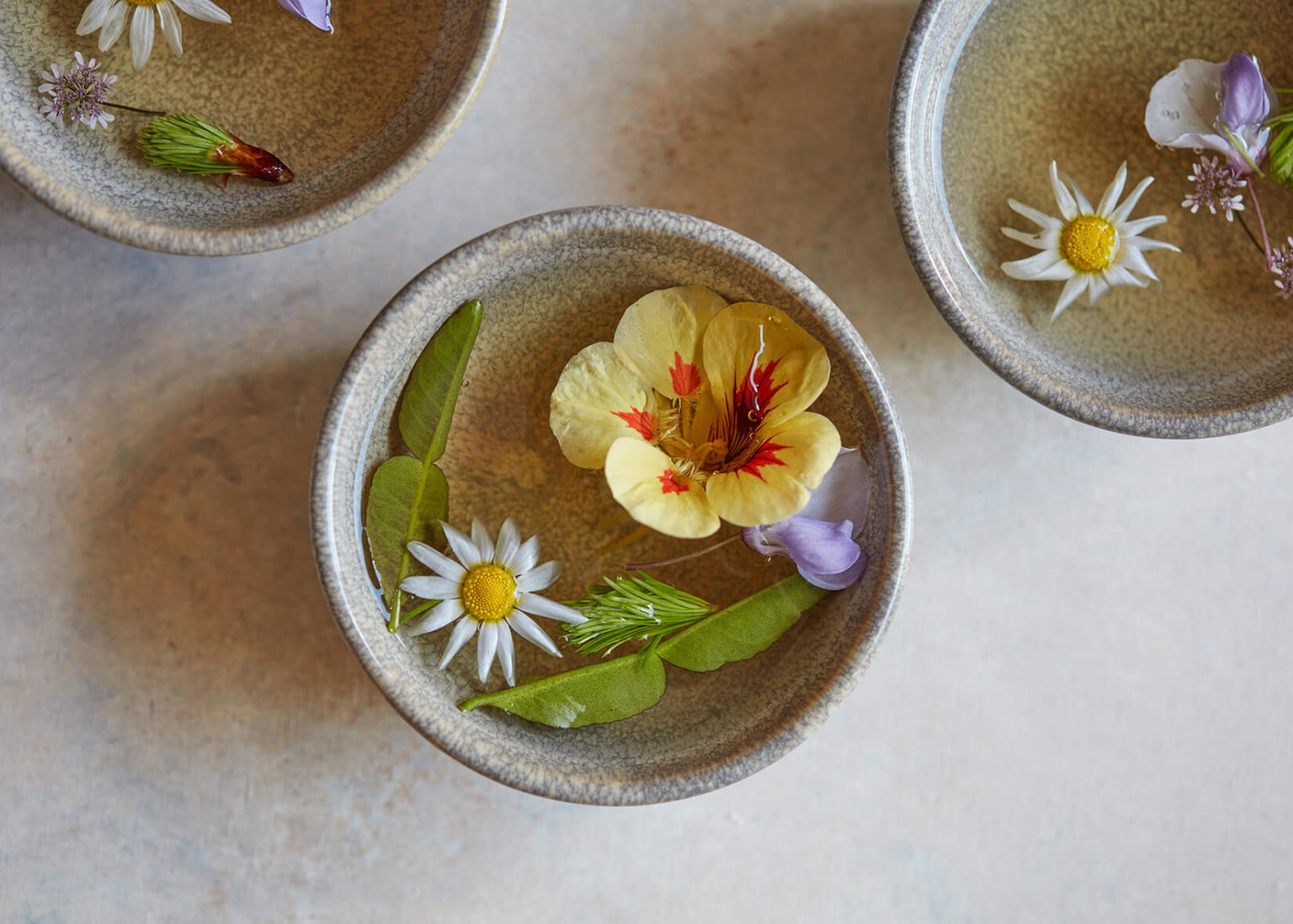 Homemade Herbal Tea Recipe | Foraged Flowers and Barks