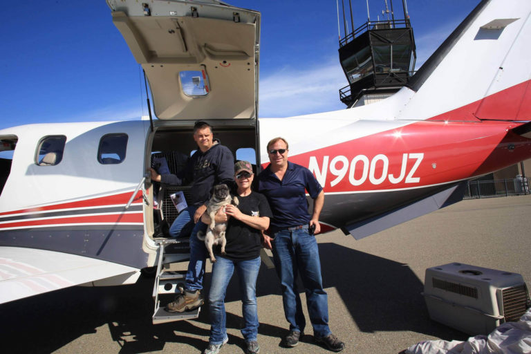 Wings of Rescue dog rescue mission with John Jordan and his airplane