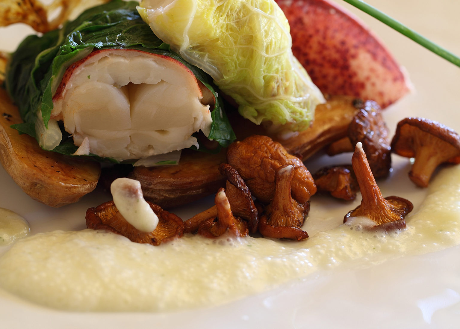 Maine Lobster with Chanterelle Mushroom Yuzu Sauce Recipe