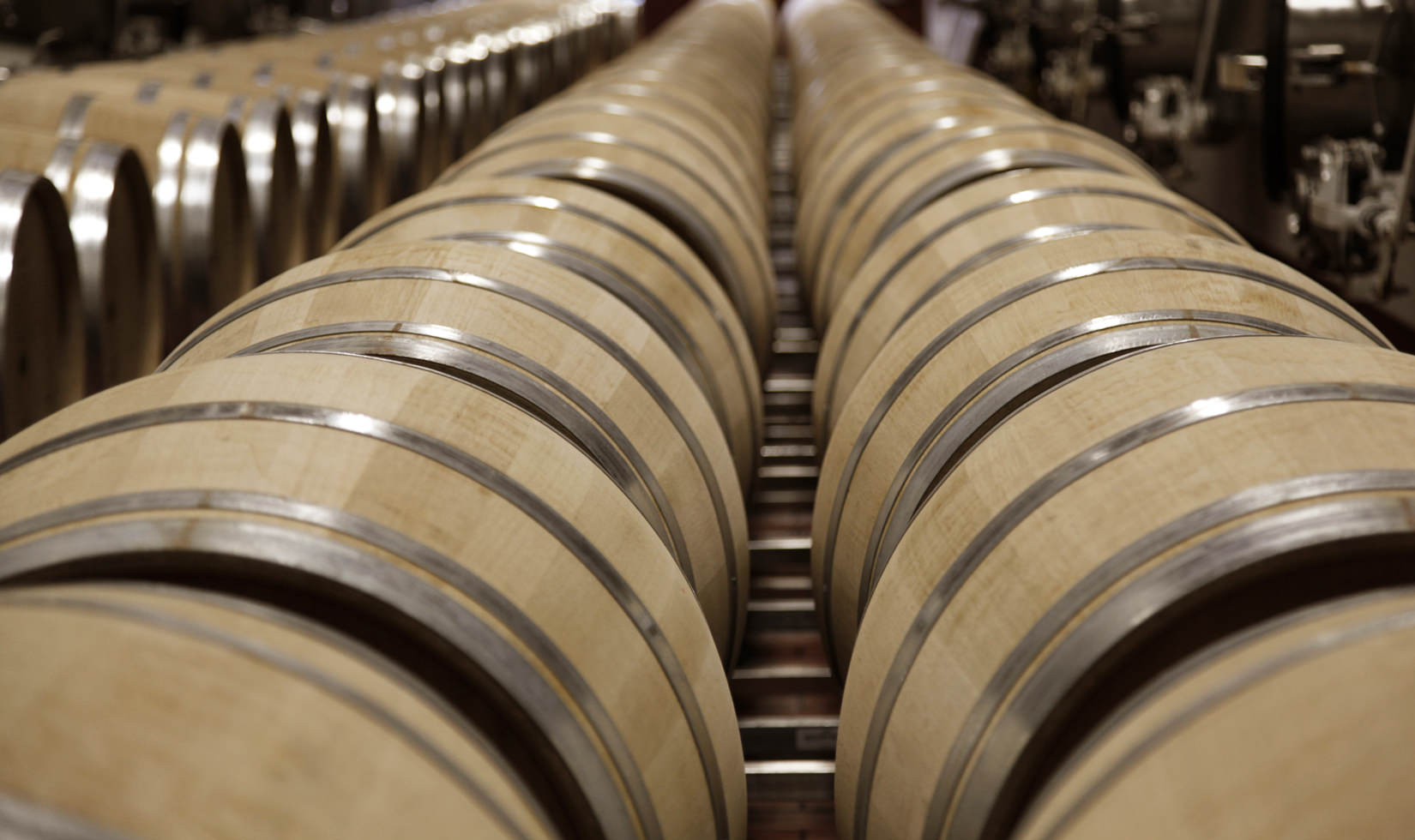 row of French oak wine barrels at Jordan Winery