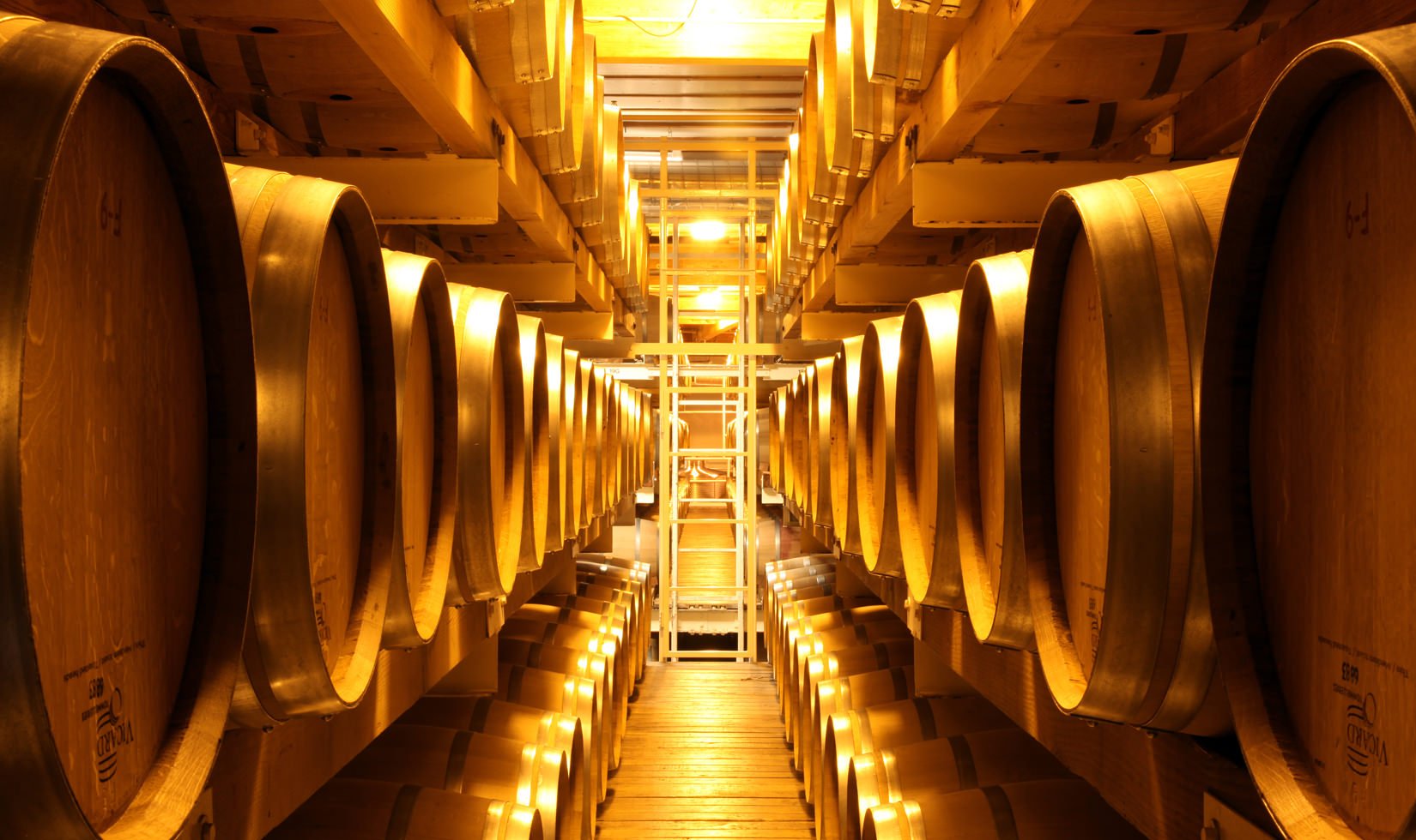 the wine barrel cellar at Jordan Winery