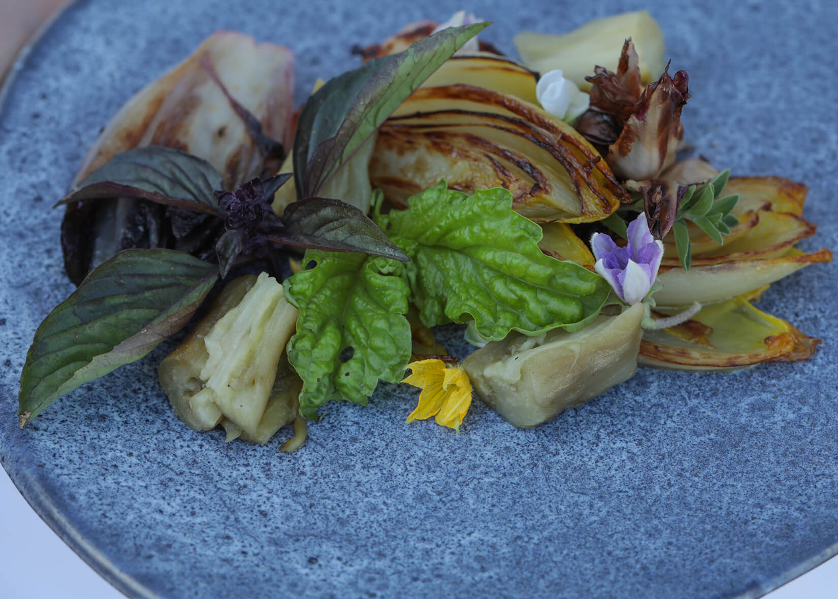 Japanese eggplant with radicchio and endive