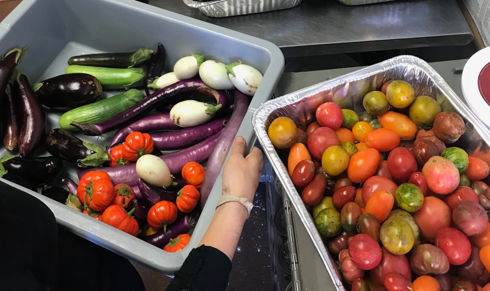 tubs of vegetables, donated to Sonoma Family Meal by Jordan Winery