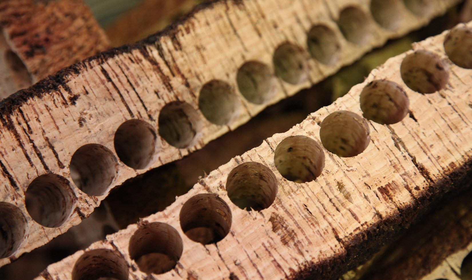 wine cork bark, cork making