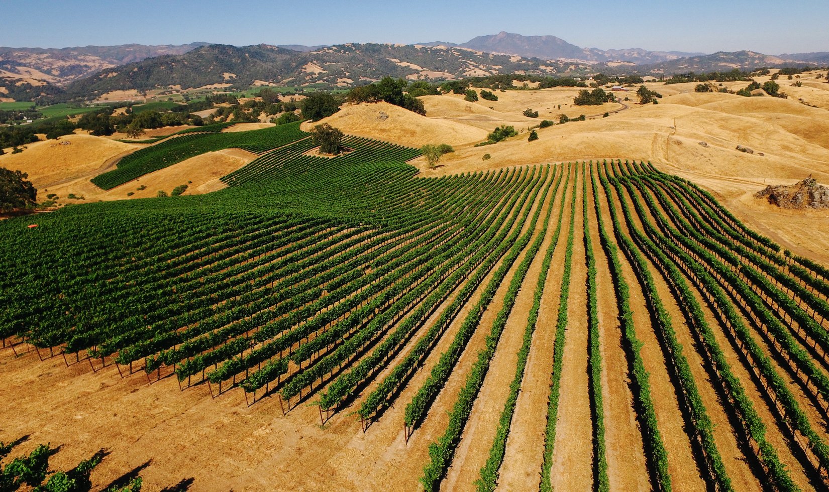 aerial view of Jordan Vineyard and Winery Estate