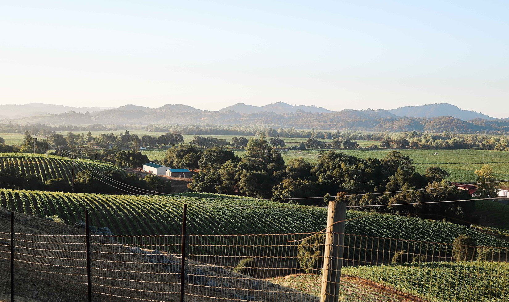 Alexander Valley vineyards vista