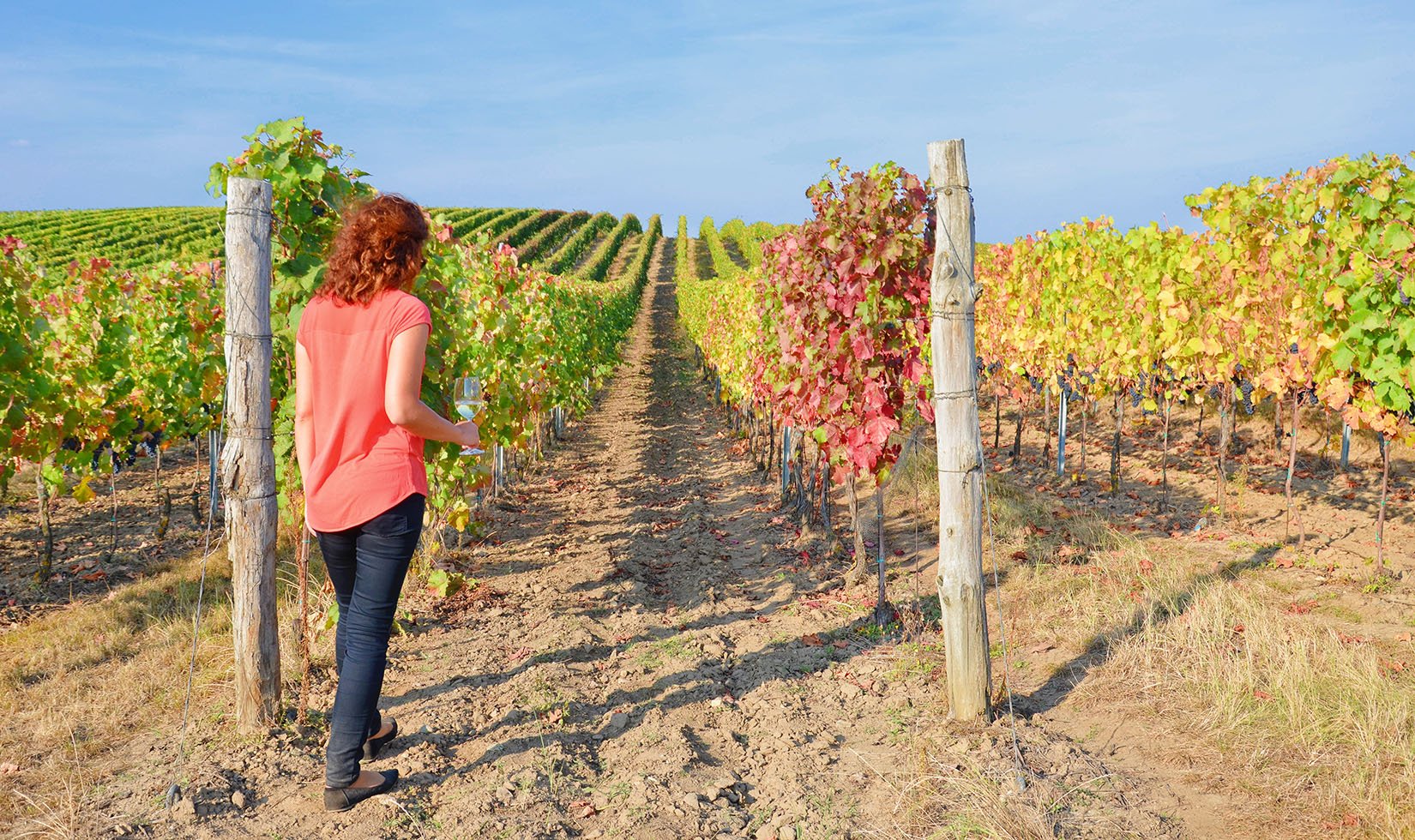 Rear view of a red haired woman standing at the end of a vineyard row. She's wearing a red shirt and jeans and holding a glass of white wine. The leaves are green turning red.