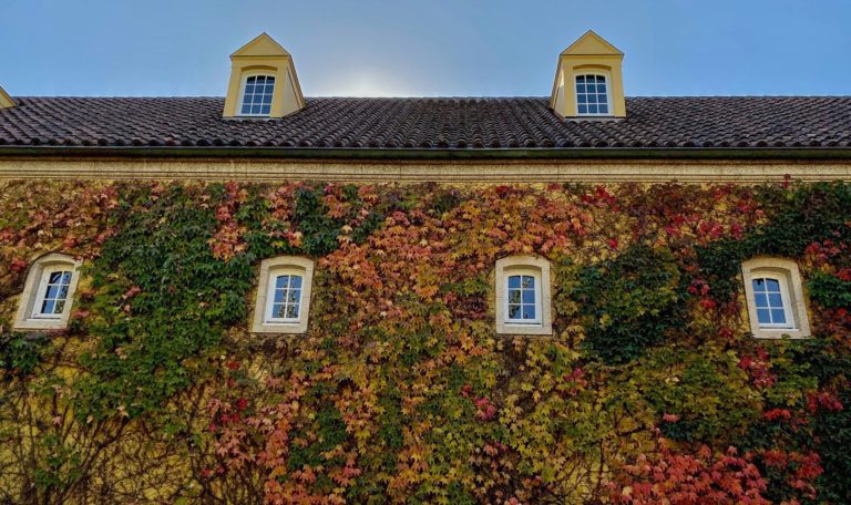 Jordan Winery chateau wall with fall foliage
