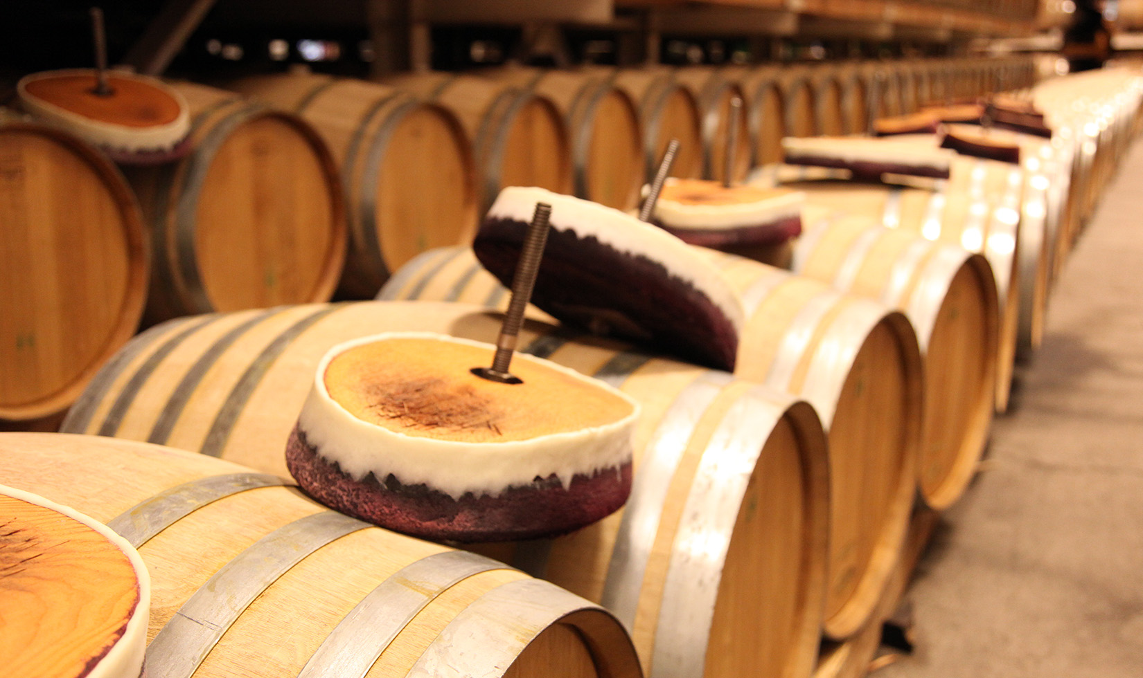 oak vat doors being tallowed at Jordan Winery