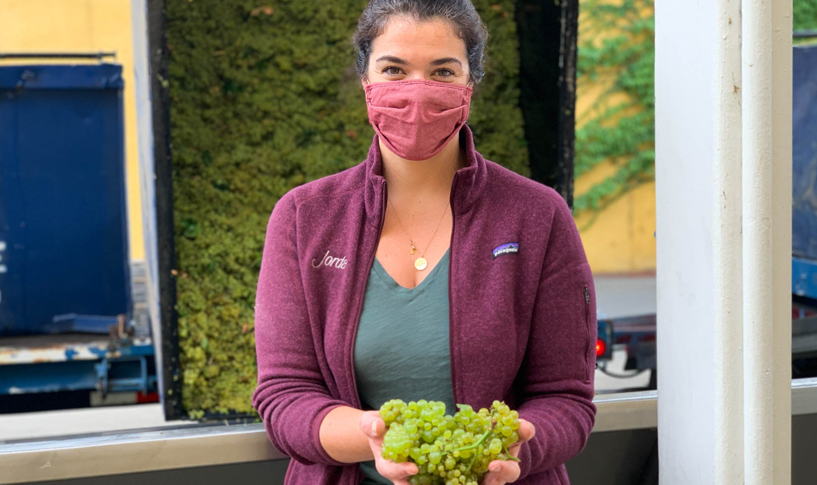 Maggie Kruse Jordan Winery holding grapes wearing mask