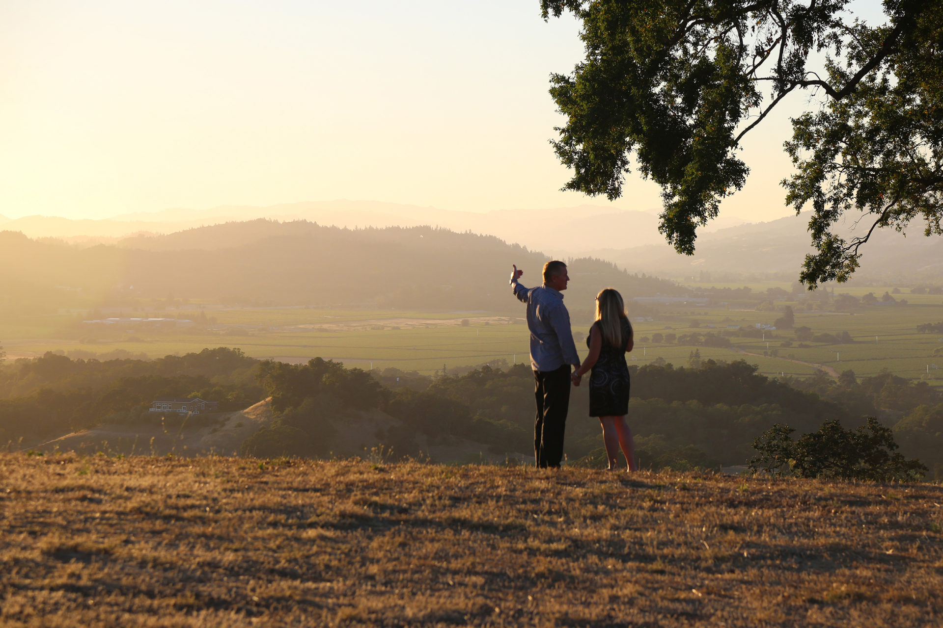 Sunset at Jordan Winery Estate