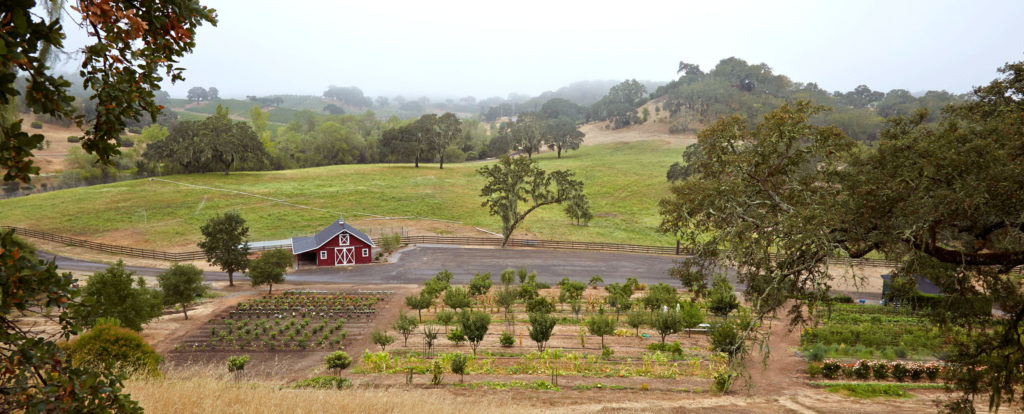 Jordan Estate garden