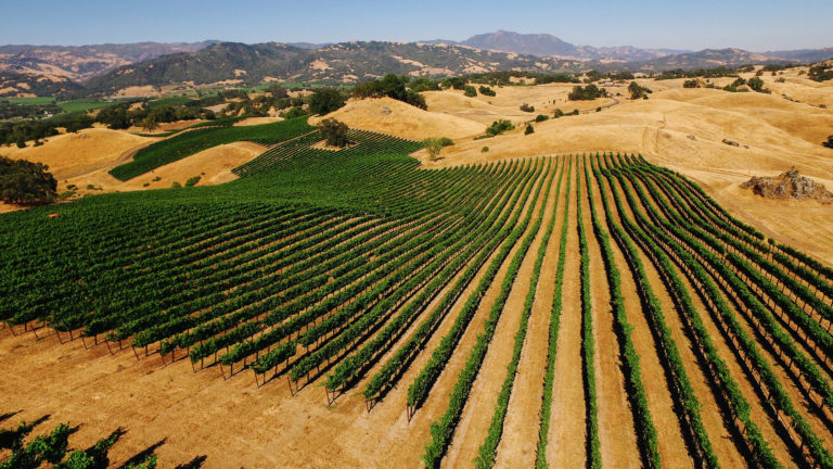 Jordan Estate Vineyards in Alexander Valley