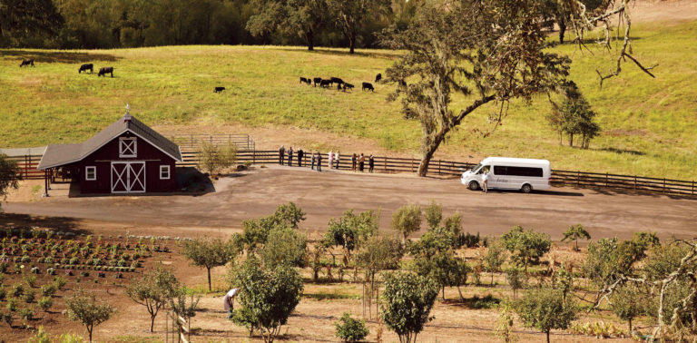 a van parked in a field with cows and a house in the background