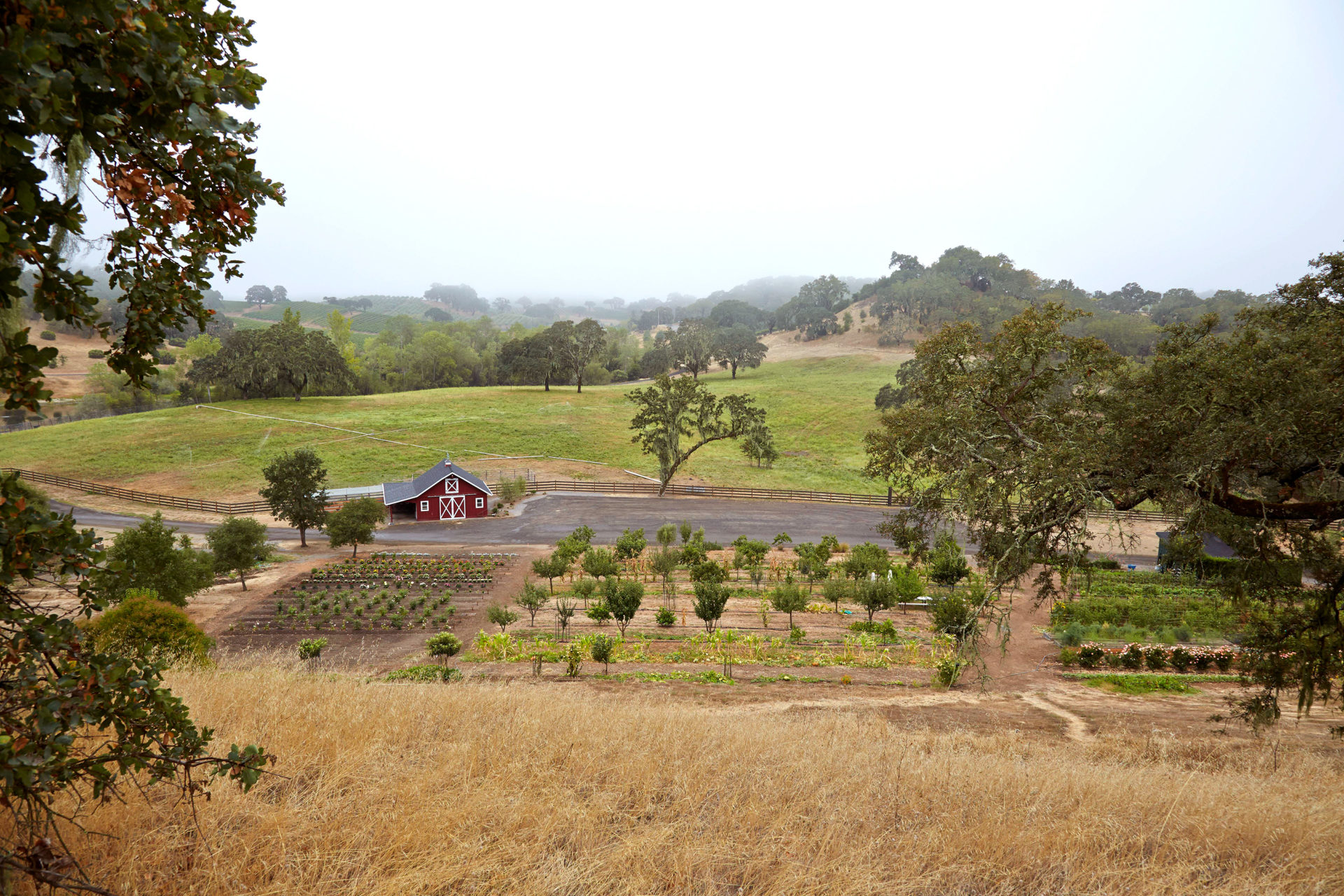 Jordan Winery estate in Healdsburg, California