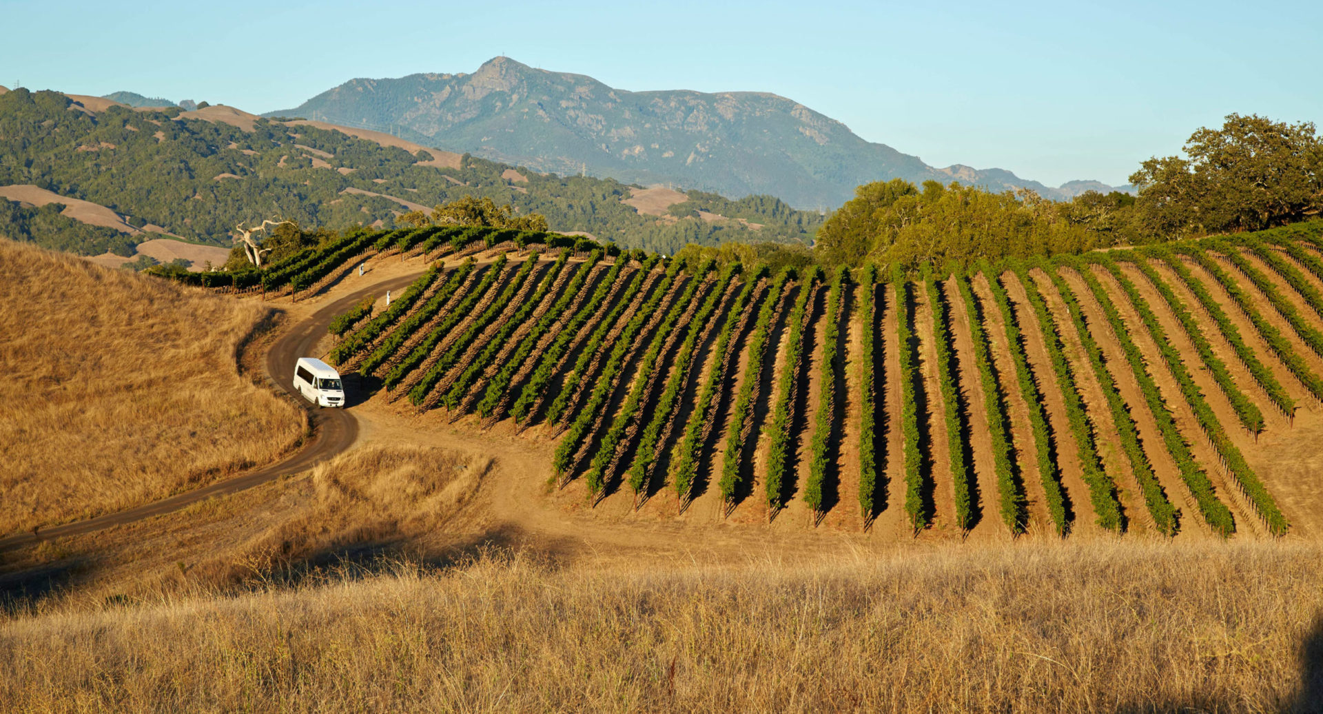 Landscape with hills, vineyard and Jordan van