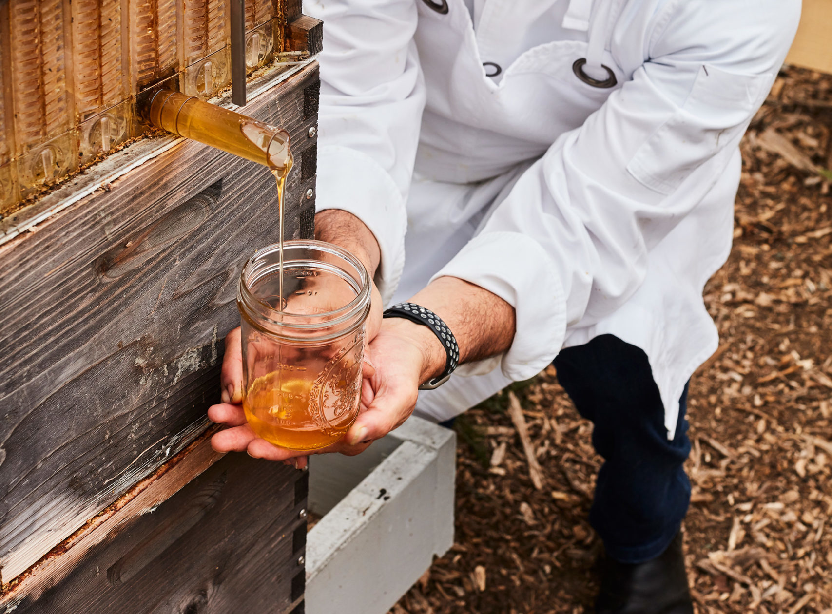 Collecting honey from a hive