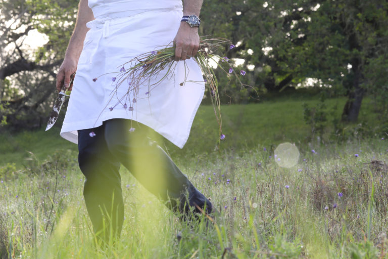 A person foraging for edible plants