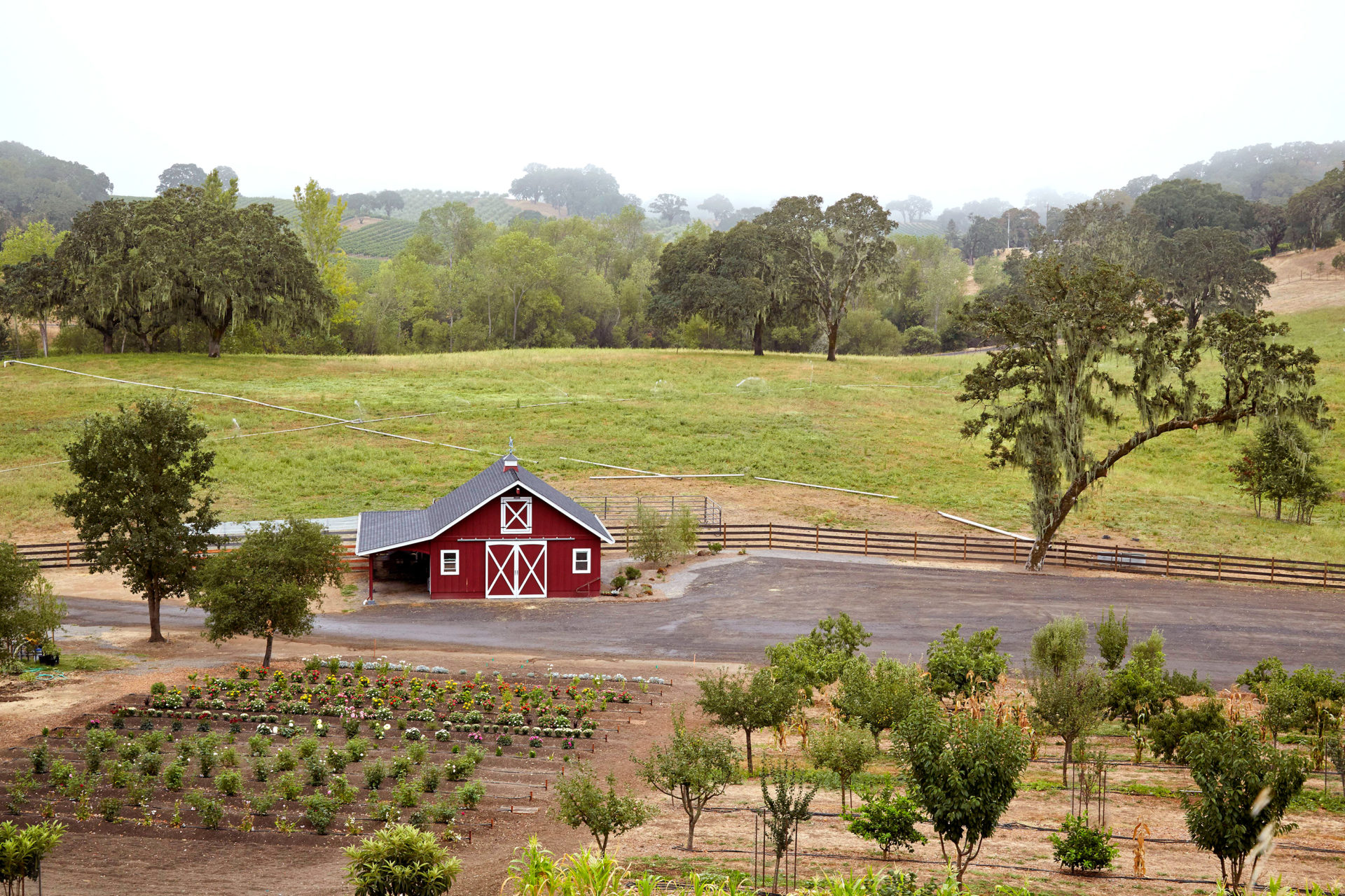 Jordan Winery History Key Chapters in our Wine Story
