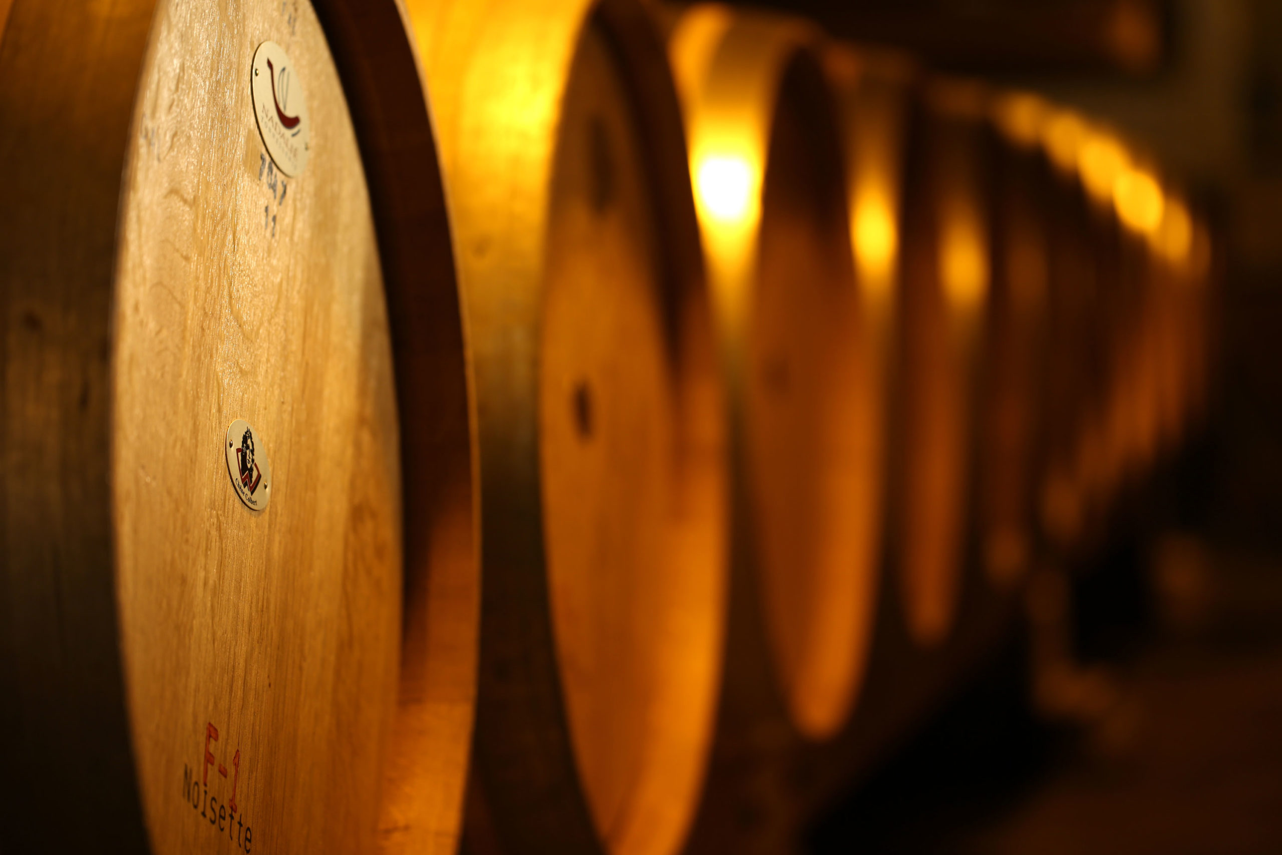 Lined up wine barrels
