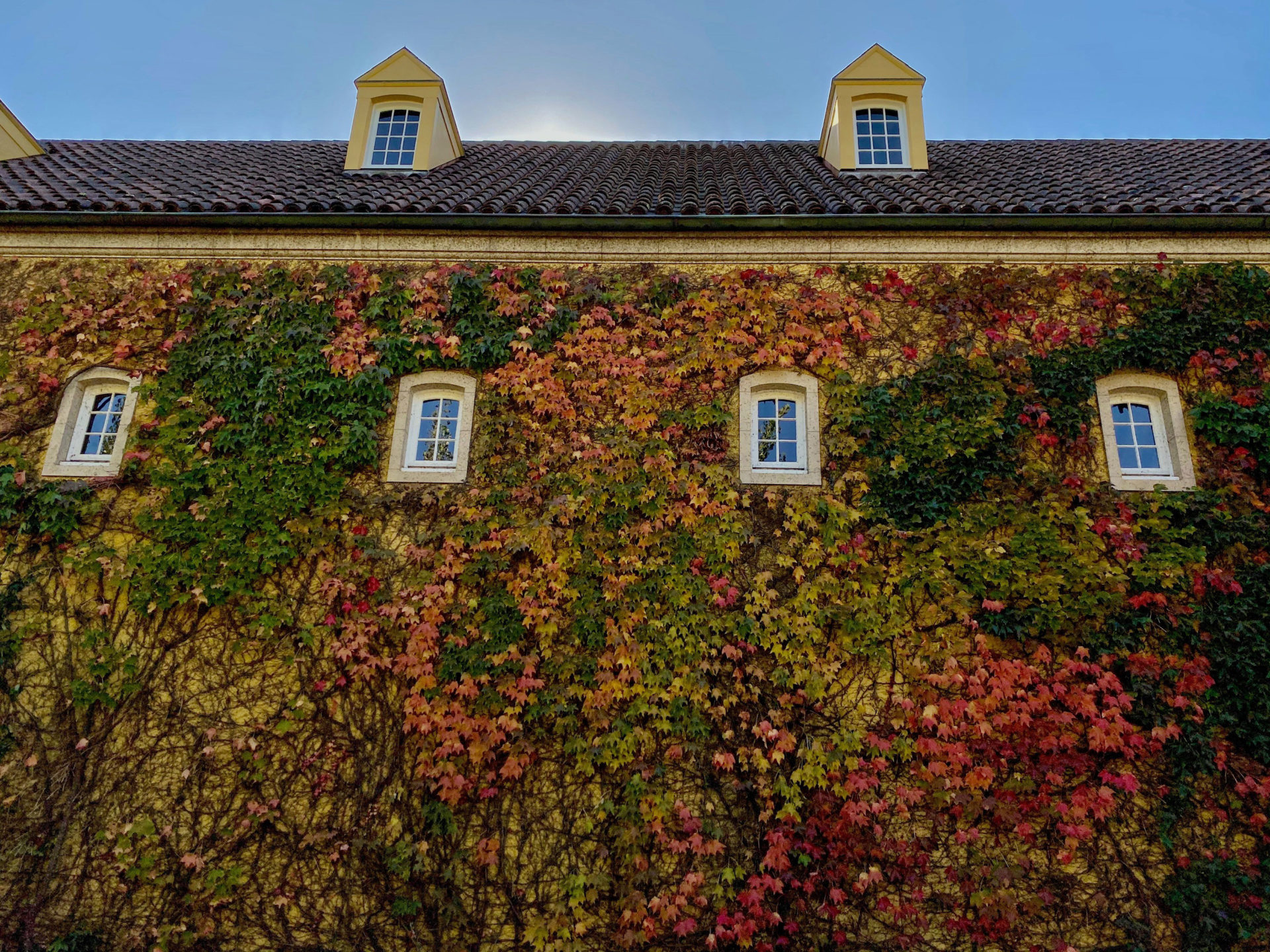 Jordan Winery Chateau wall