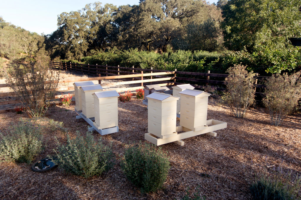 Beehives at Jordan Estate