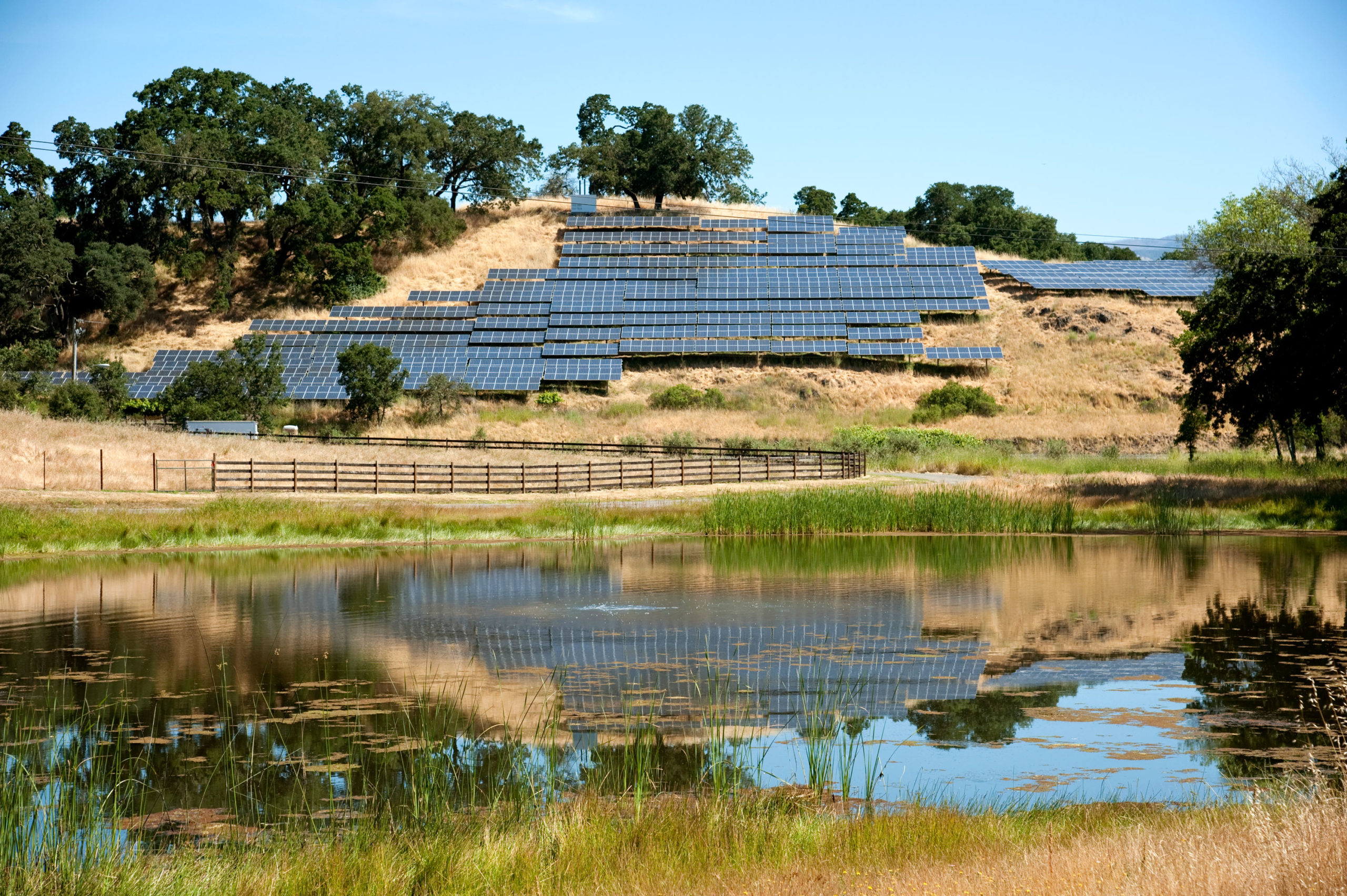 solar panels on grassy hillside with trees and lake
