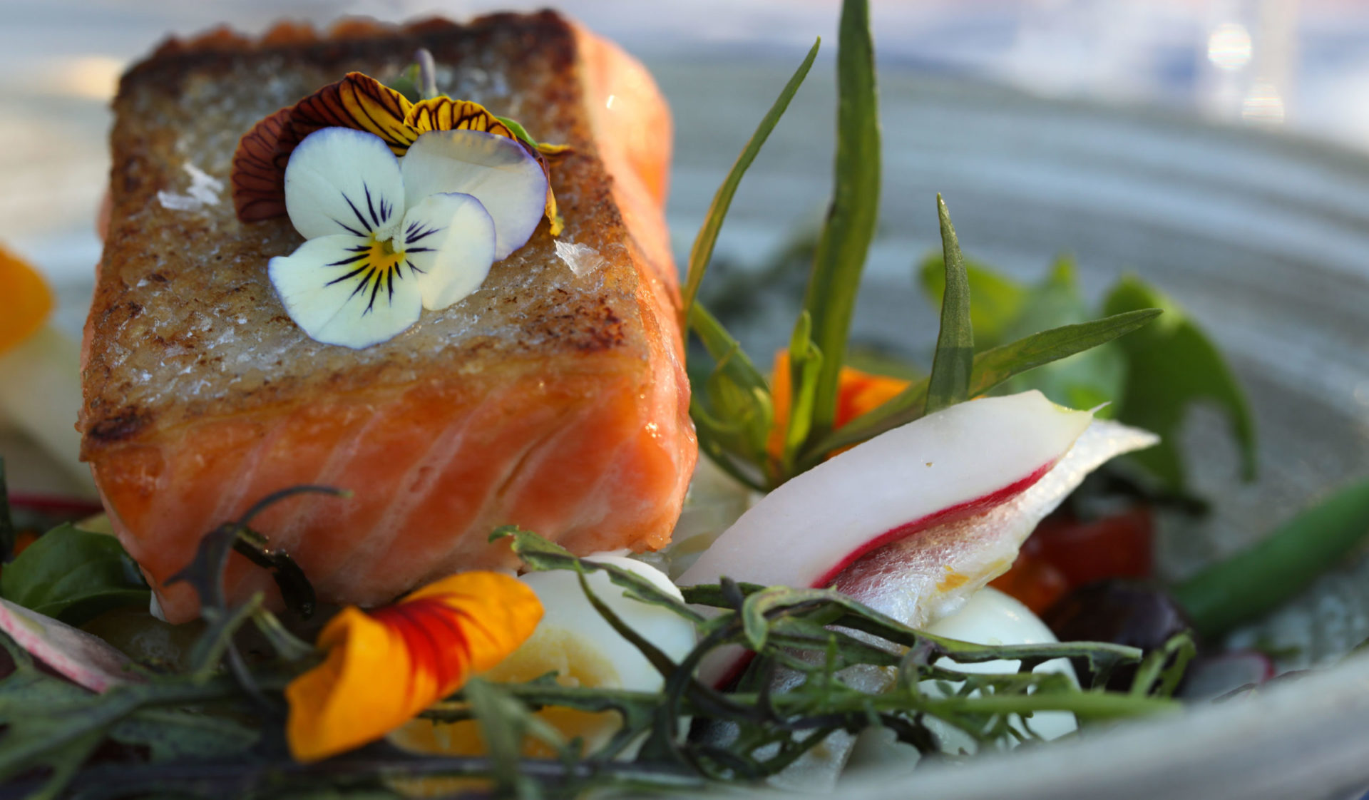 Beautifully plated salmon and vegetables