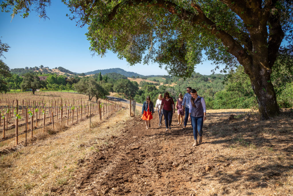 People walking in Jordan Estate Vineyard