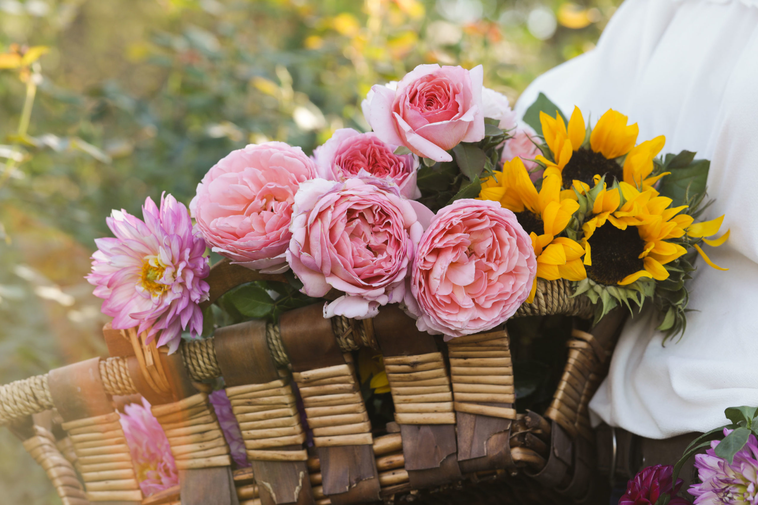 A person holding a basket of flowers