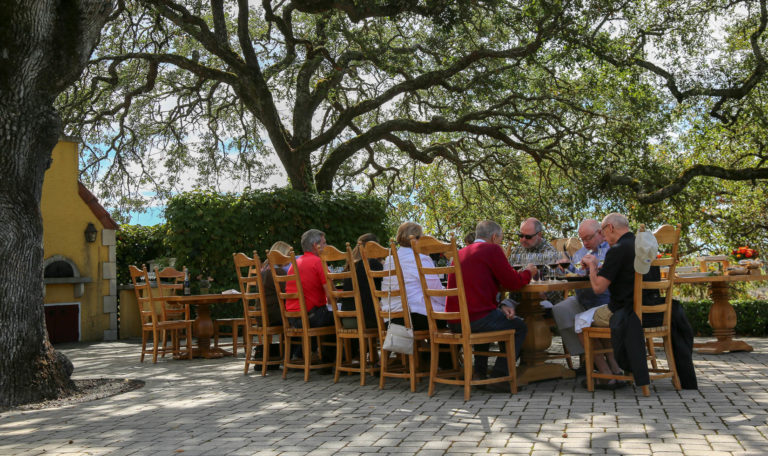 People sitting at outside table under a large tree