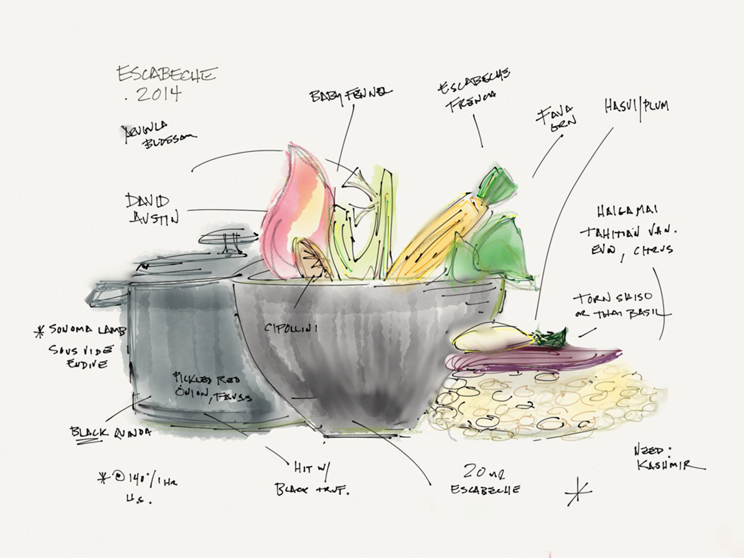 Sketch of a dish made by Chef Knoll