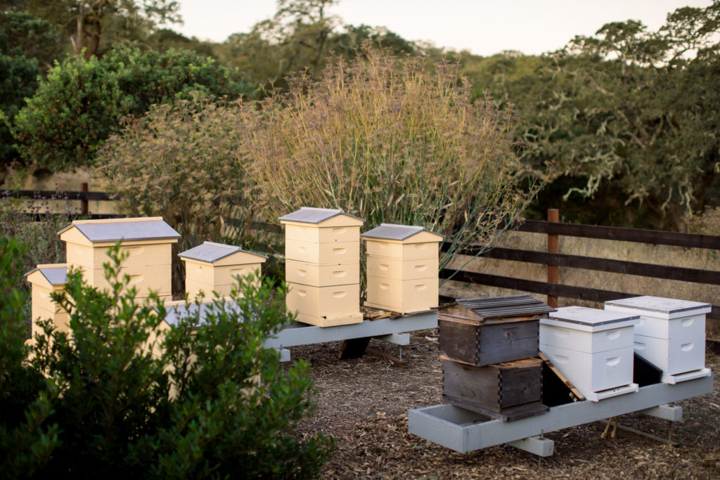 Beehives at Jordan Estate