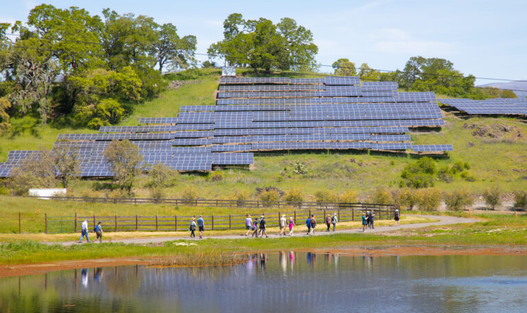 hikers walking through vineyards and open space with solar panels near them