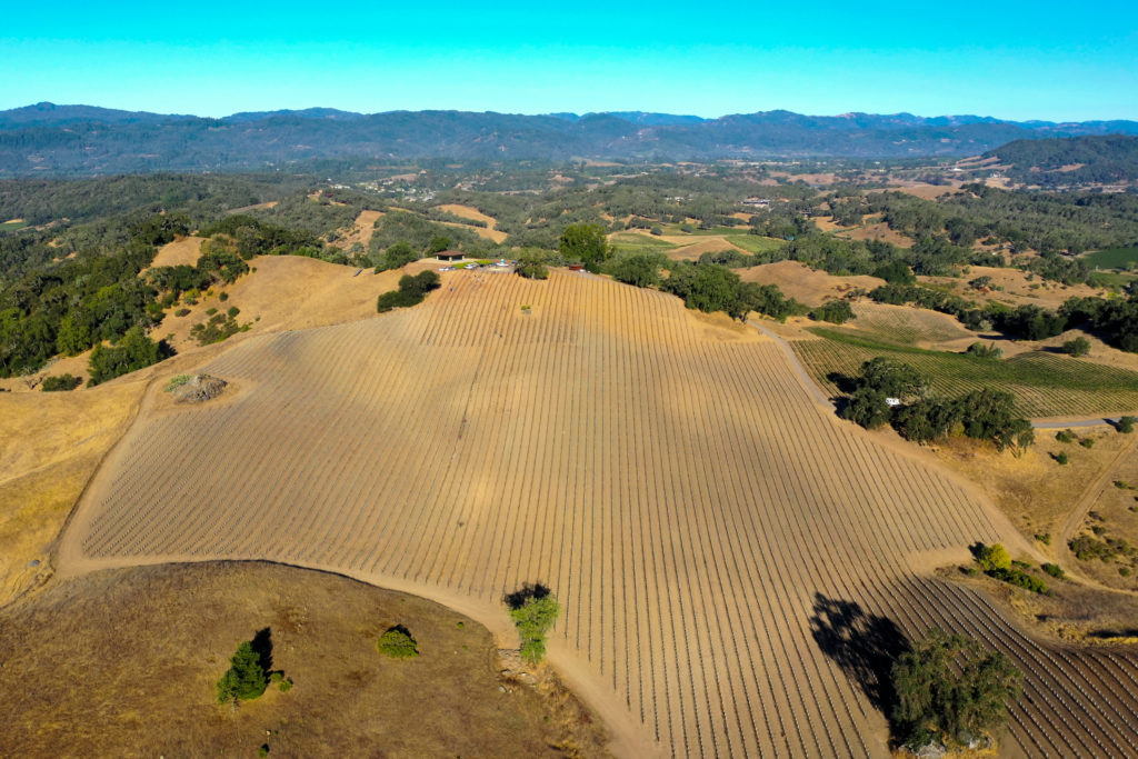 Jordan Winery Purchases Meola Vineyard in Alexander Valley Wine News