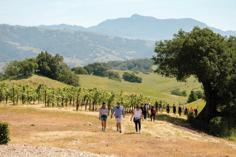 People hiking in a vineyard with mountains in the background